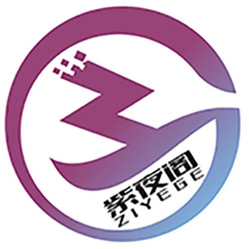 管胜龙,公司经营范围包括:一般项目:网络技术服务;技术服务